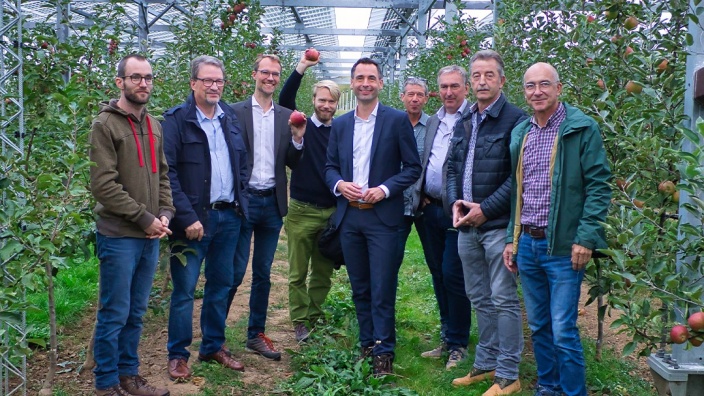 Dr. Christian Untrieser mit anderen Abgeordneten (u.a. Jonathan Grunwald) zwischen Apfelbäumen und Agri-PV-Anlagen. Sie halten Äpfel in die Höhe.